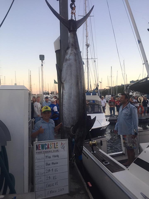 ANGLER: Max Hardy SPECIES: Blue Marlin WEIGHT: 214kg LURE: JB Lures Big Dingo.